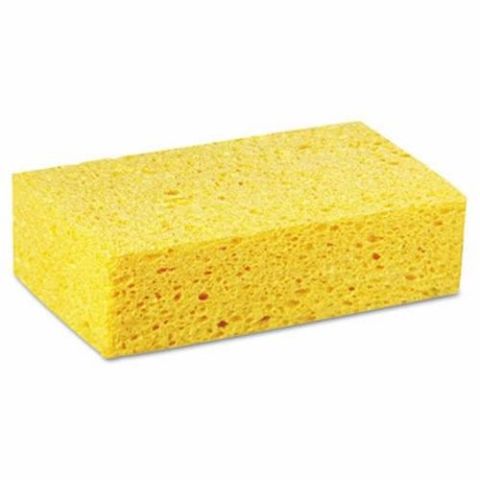 Yellow Sponge